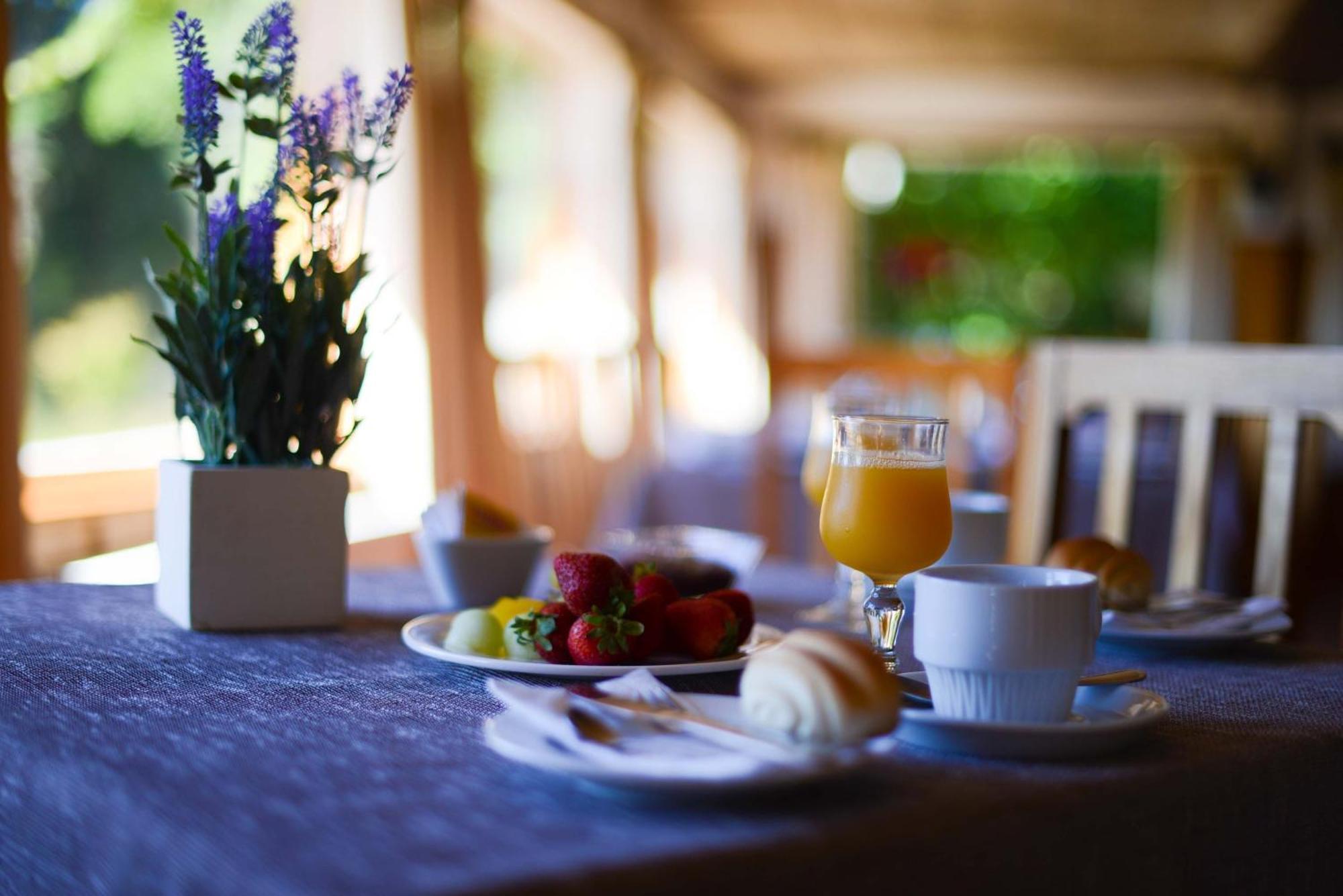 Hotel Y Cabanas El Parque Villarrica Ngoại thất bức ảnh
